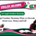 222 Angel Number Meaning_ What 222 Reveals About Love, Money and Life