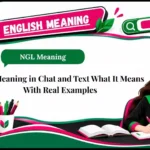 NGL Meaning in Chat and Text What It Means With Real Examples