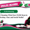 TLDR Meaning_ What Does TLDR Mean in Texting, Chat, and Social Media