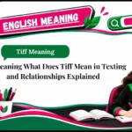 Tiff Meaning What Does Tiff Mean in Texting and Relationships Explained