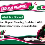 Weather Report Meaning Explained With Examples, Types, Uses and More