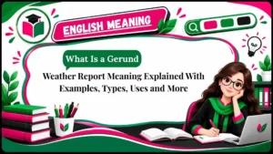 Weather Report Meaning Explained With Examples, Types, Uses and More