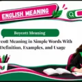 Boycott Meaning in Simple Words With Definition, Examples, and Usage