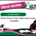 Go Past Tense_ Went vs Gone, Rules and 30 Easy Examples