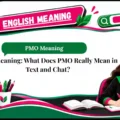 PMO Meaning: What Does PMO Really Mean in Text and Chat?